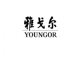 雅戈爾集團股份有限公司